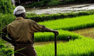 Helping Smallholder Farmers Modernize through Technology