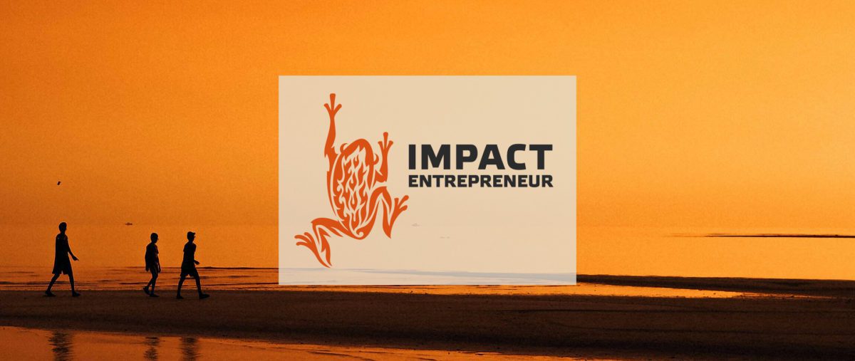 IE Logo Banner