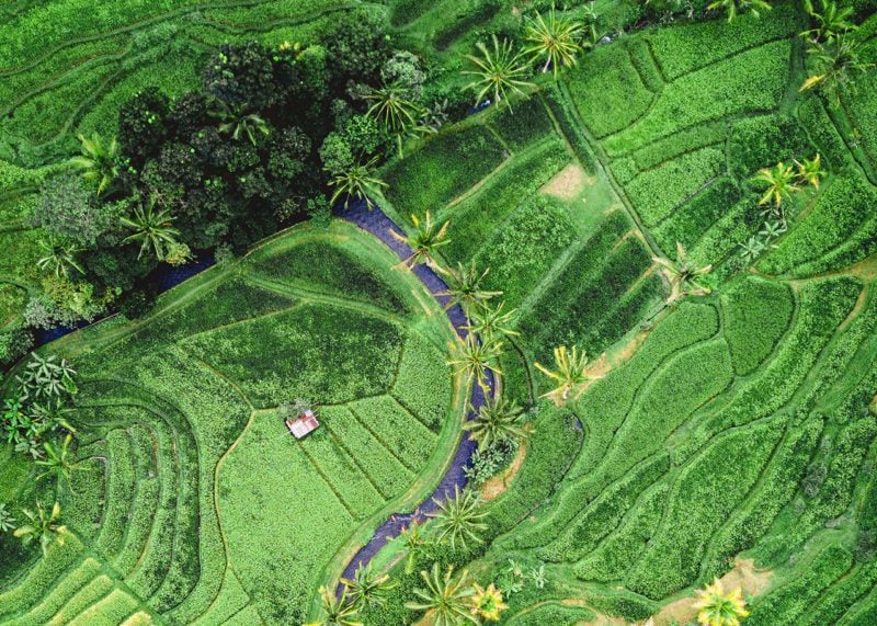 Landscape from above