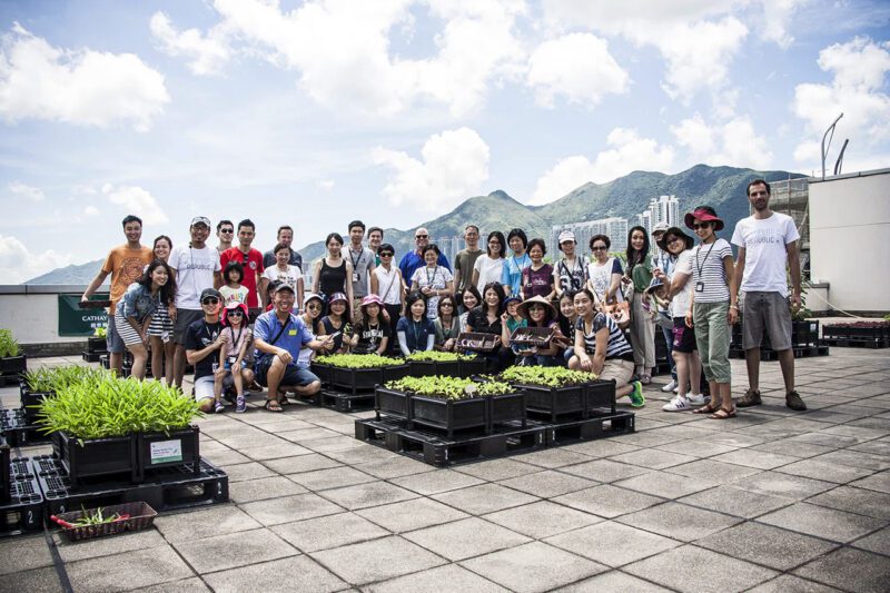 Group of Asians in a rooftop farm