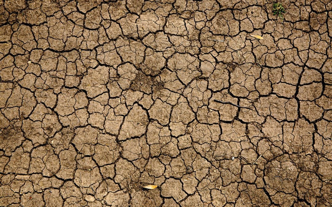 Why Insurers Must Step Up for Climate-Vulnerable Industries