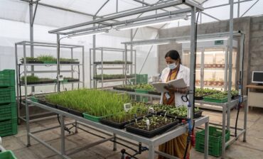 Regenerative Agriculture Won’t Scale on Adoption Alone